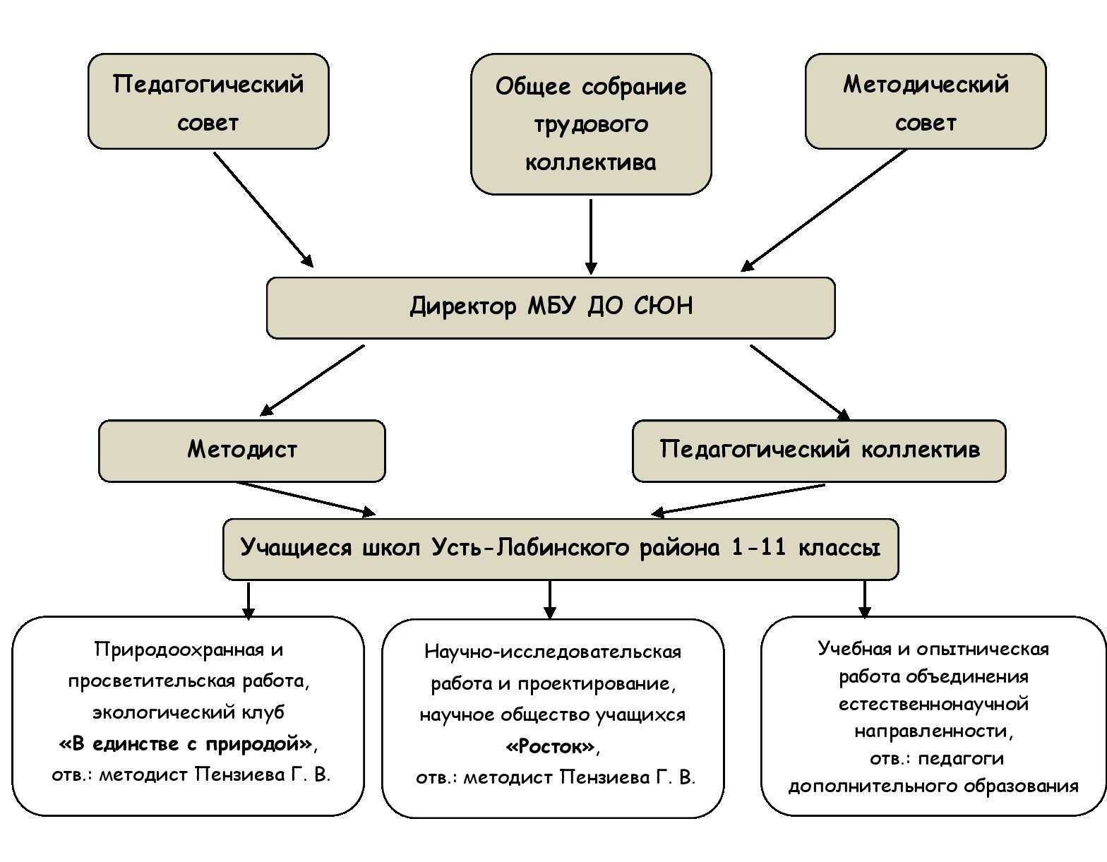 Как образовательная организация формирует свою структуру